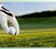 CarloFilippoFollis.name – Campo e pallina da golf